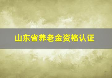 山东省养老金资格认证