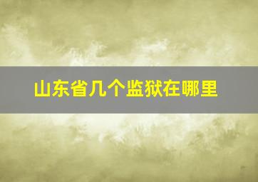 山东省几个监狱在哪里