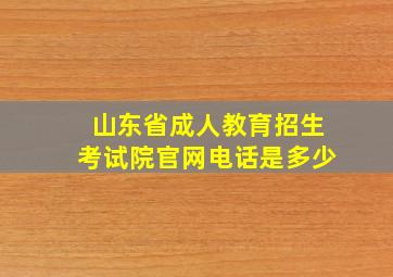 山东省成人教育招生考试院官网电话是多少