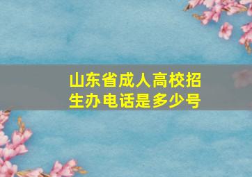 山东省成人高校招生办电话是多少号