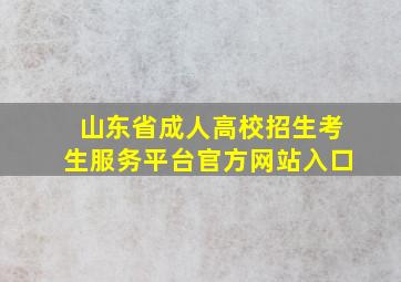 山东省成人高校招生考生服务平台官方网站入口