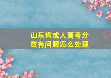 山东省成人高考分数有问题怎么处理