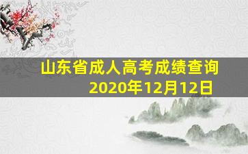 山东省成人高考成绩查询2020年12月12日