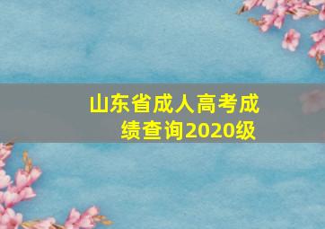 山东省成人高考成绩查询2020级