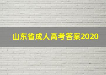 山东省成人高考答案2020