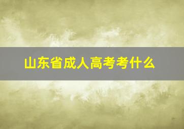 山东省成人高考考什么