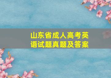 山东省成人高考英语试题真题及答案