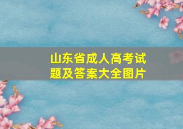 山东省成人高考试题及答案大全图片