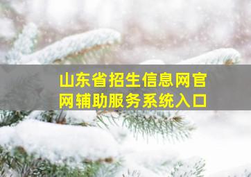 山东省招生信息网官网辅助服务系统入口