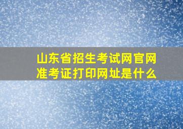 山东省招生考试网官网准考证打印网址是什么