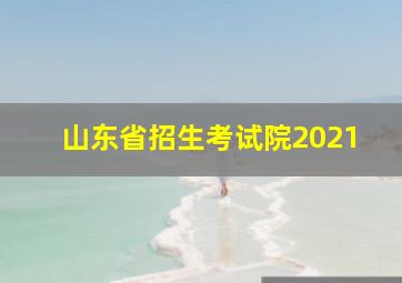 山东省招生考试院2021