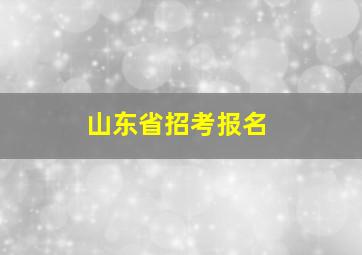 山东省招考报名