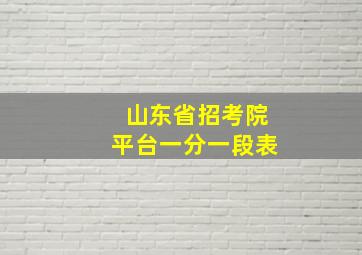 山东省招考院平台一分一段表