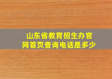 山东省教育招生办官网首页查询电话是多少