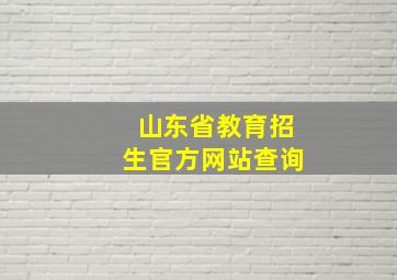 山东省教育招生官方网站查询