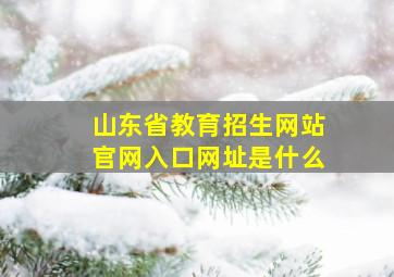 山东省教育招生网站官网入口网址是什么