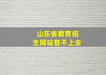 山东省教育招生网站登不上去