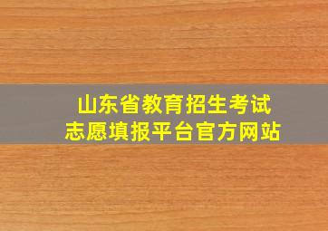 山东省教育招生考试志愿填报平台官方网站