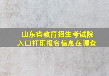 山东省教育招生考试院入口打印报名信息在哪查