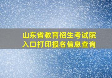 山东省教育招生考试院入口打印报名信息查询