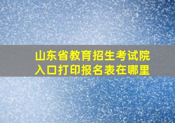 山东省教育招生考试院入口打印报名表在哪里