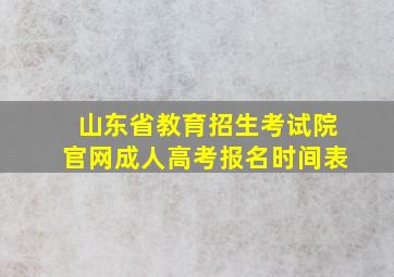 山东省教育招生考试院官网成人高考报名时间表