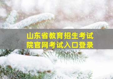 山东省教育招生考试院官网考试入口登录