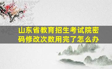 山东省教育招生考试院密码修改次数用完了怎么办