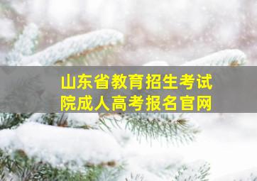 山东省教育招生考试院成人高考报名官网