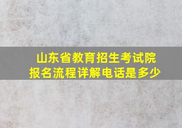 山东省教育招生考试院报名流程详解电话是多少