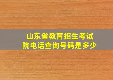 山东省教育招生考试院电话查询号码是多少