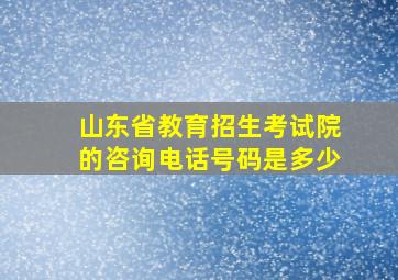 山东省教育招生考试院的咨询电话号码是多少