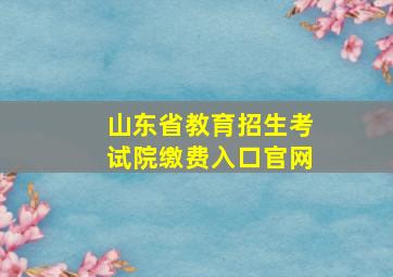 山东省教育招生考试院缴费入口官网