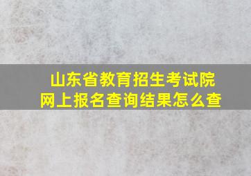 山东省教育招生考试院网上报名查询结果怎么查