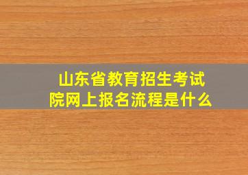 山东省教育招生考试院网上报名流程是什么