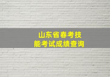 山东省春考技能考试成绩查询