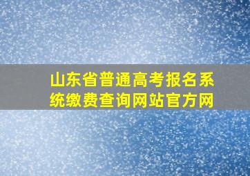 山东省普通高考报名系统缴费查询网站官方网