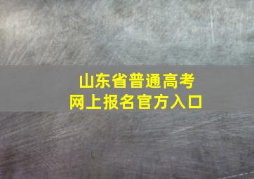 山东省普通高考网上报名官方入口