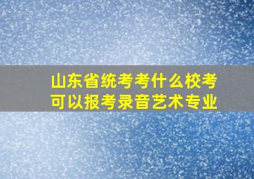 山东省统考考什么校考可以报考录音艺术专业