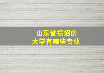 山东省综招的大学有哪些专业