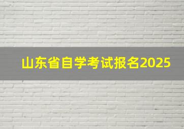 山东省自学考试报名2025