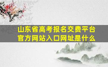 山东省高考报名交费平台官方网站入口网址是什么