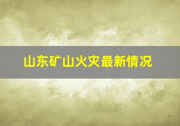 山东矿山火灾最新情况