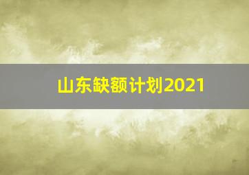 山东缺额计划2021