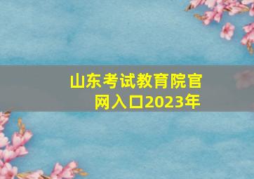 山东考试教育院官网入口2023年