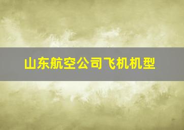 山东航空公司飞机机型