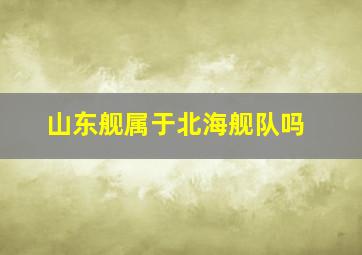 山东舰属于北海舰队吗