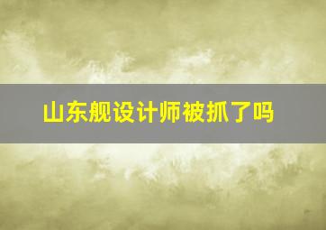 山东舰设计师被抓了吗