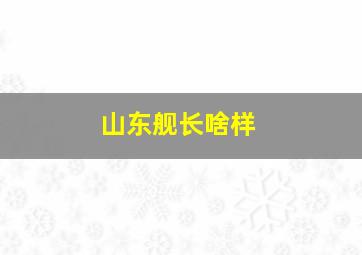 山东舰长啥样