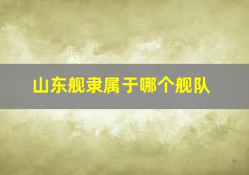 山东舰隶属于哪个舰队